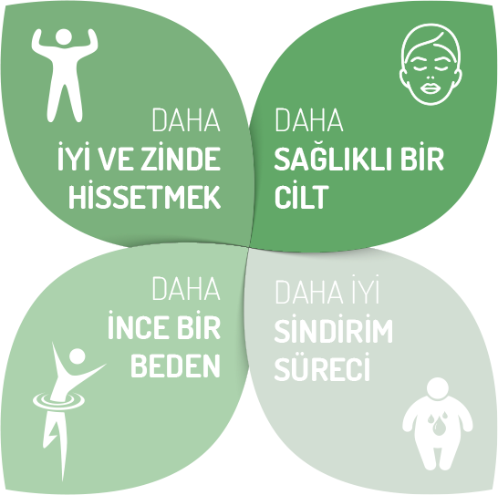 detoksifikasyonun 4 etkisi